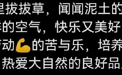 曲沃县直幼儿园上太许分园 快乐的除草活动
