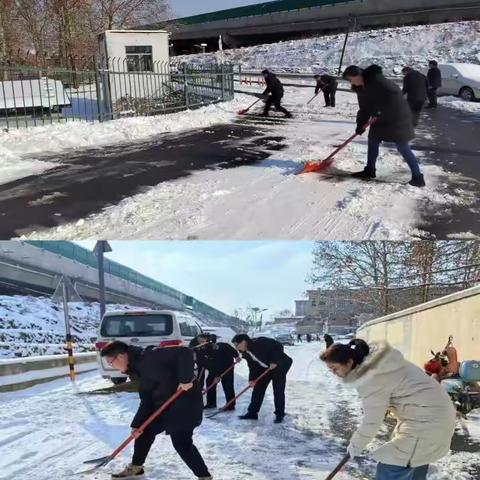 【党民连心，点亮凤凰】颜庄街道凤凰社区开展“扫雪除冰保安全，浓浓关怀暖人心”活动