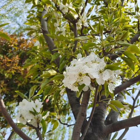 强化安全意识，细化工作责任——增福大队工作纪实