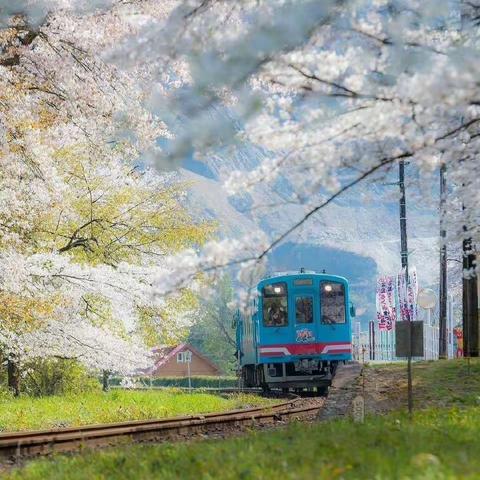 珍惜城镇环境，共建美丽家园——增福大队工作纪实