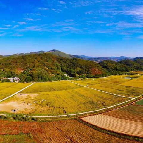 四年1班倚丰综合基地 研学实践活动