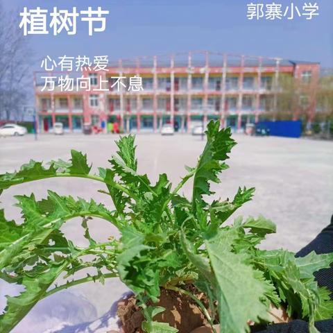 种下希望 ﻿收获美好