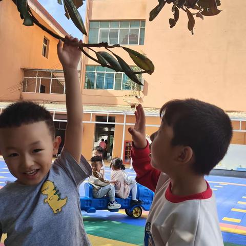 清镇乐一幼儿园一日生活记录