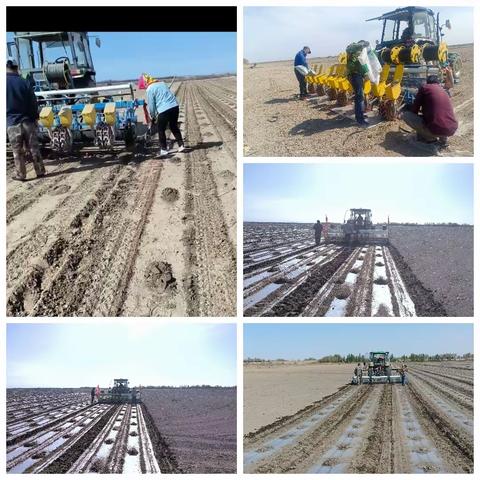 “比进度、比质量、比安全”春播竞赛，抢抓农时