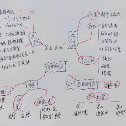 阅读，悦快乐----安阳县北郭乡武庄小学读书活动