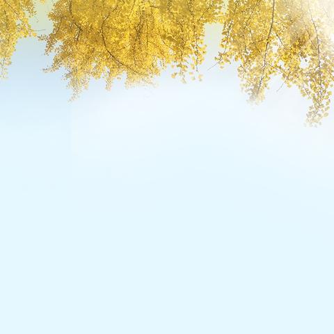 一朝沐杏雨，一生念师恩——主题班会纪实