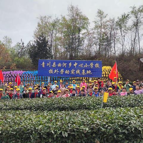 "劳动砺心志，实践促成长——青川县曲河乡中心小学校劳动实践活动