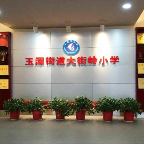 玉潭街道大街岭小学 ‍暑假阅读推荐及实践活动指南