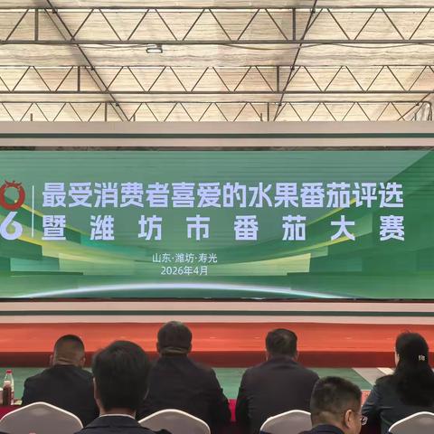 2026 最受消费者喜爱的水果番茄 安各庄番茄再获佳绩