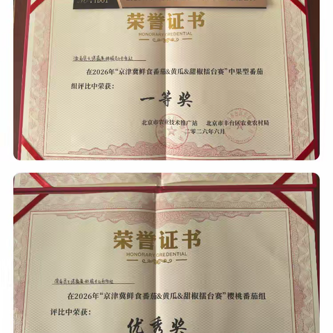 安各庄佳柿夺魁 滦南农产扬威