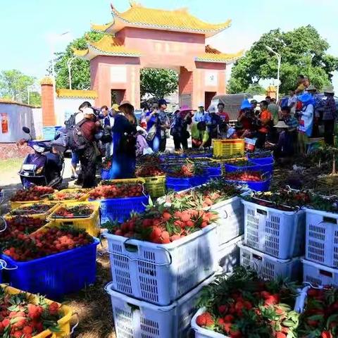 永秀村荔枝季开展“网格巡查+荔枝收购提醒告诫书宣传”活动，共护果农合法权益