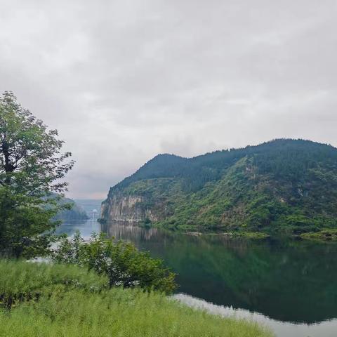 何茂芹个人求职简历