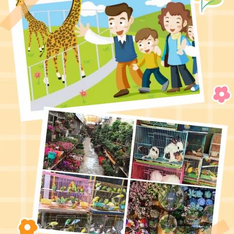 桢旨新幼稚园第三个主题活动《动物趣多多》给家长的一封信