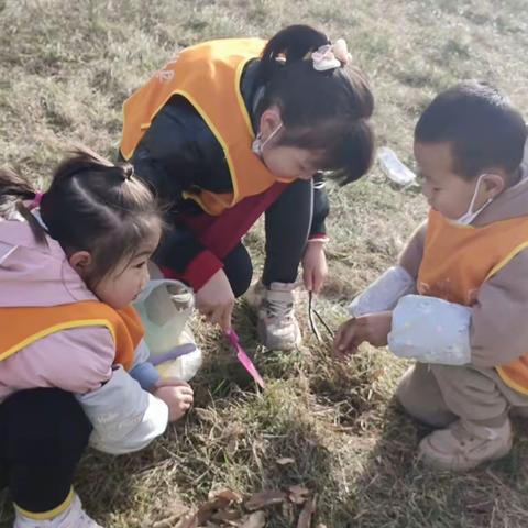 2023.12.6日中班观察记录