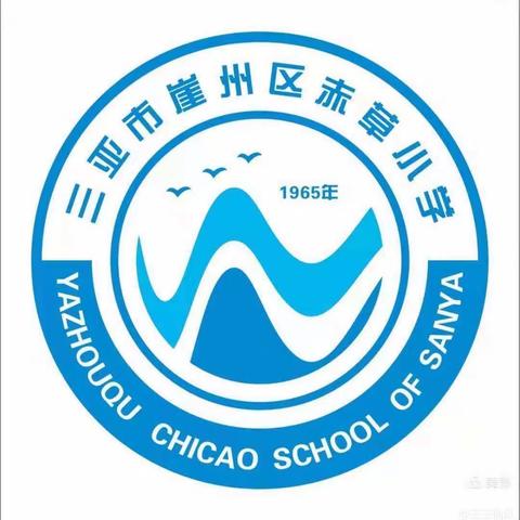 “教以共进，研以致远”——三亚市崖州区赤草小学教研公开课活动