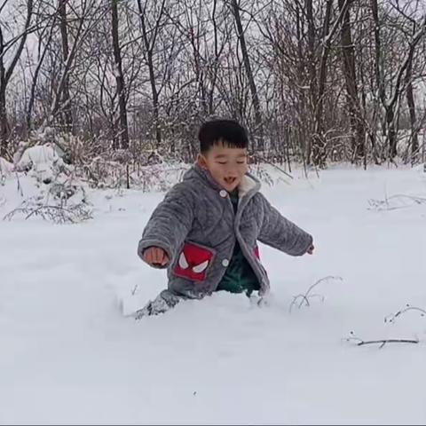 雪儿飞飞