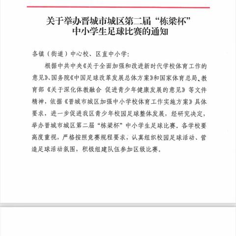 晋城市城区凤台小学参加城区第二届“栋梁杯”足球比赛纪实