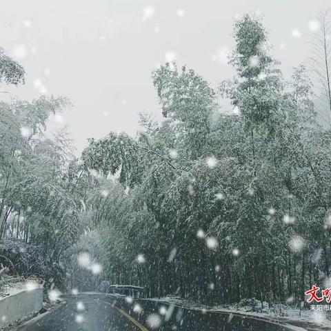 瑞雪扬花又一年，星光闪耀续华篇——2201高二上学期期末美篇