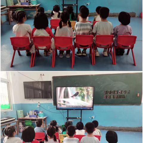 《蜻蜓》—陈集幼儿园中班教学活动