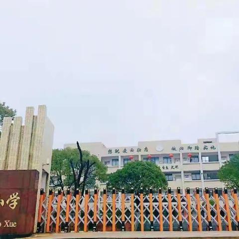阳光体育，阳光人生——鸭塘铺中心小学2025年运动会