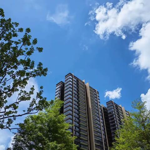 熙元花园2025年第二季度物业服务工作简报