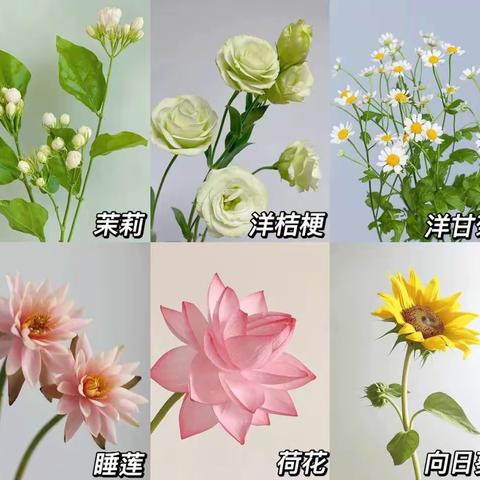 紫微台森林幼儿园大二班九月《花之乡》主题