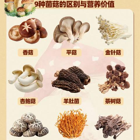 紫微台森林幼儿园大二班三月《菇菇家族》主题