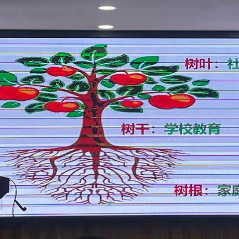 参加家委会成员培训，收货满满