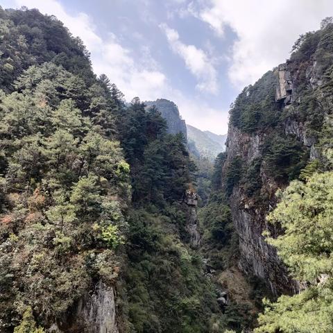 东风掠影 2024年度师生摄影作品展示 （第三期）
