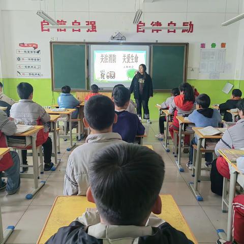 孙镇洞坡小学第五周工作纪实