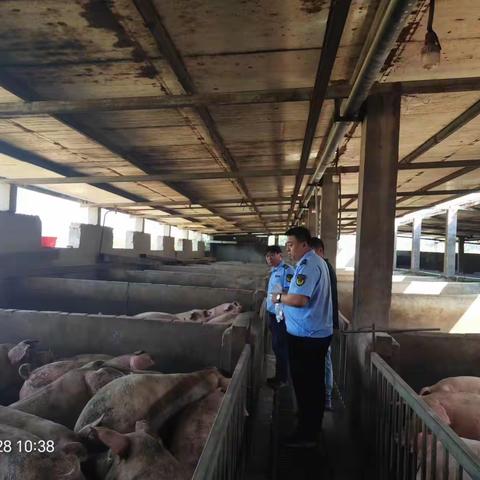 大名县农业农村局扎实做好“双节”农产品质量安全监管工作