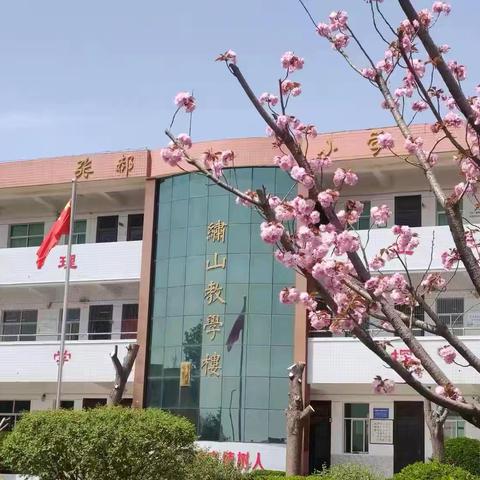 铜川市耀州区锦阳路街道张郝小学 2025年秋季招生入学公告