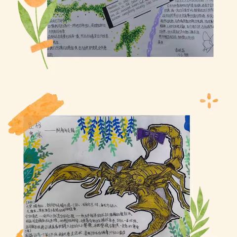 【三迪中学卧龙寺校区语文组】 聆听昆虫物语   探索自然奥秘