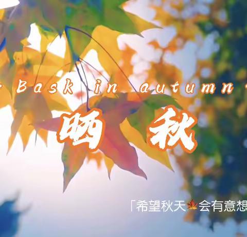 悦见金秋🍂Fun享时光