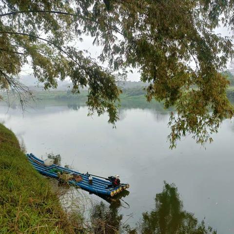 微风细雨春正浓