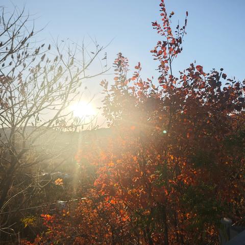 种自己得自己——殷铖婧的12月份总结