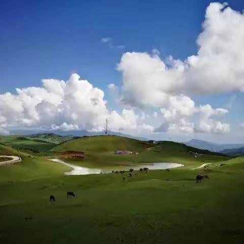 游七彩云南，踏腾冲美景！宝泉旅行社伴您行（二）