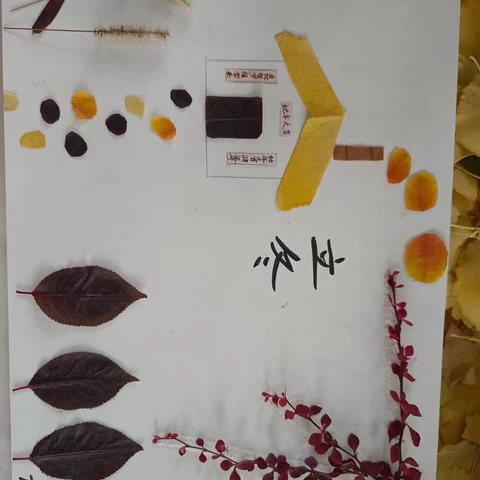 高公庄中心小学树叶画比赛：用自然之美点亮创意