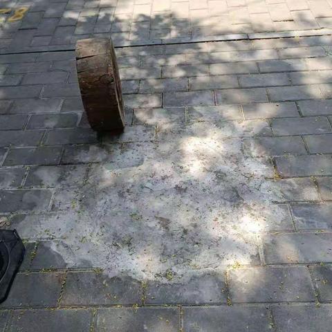 及时修复管道堵塞问题，大力改善居民生活环境