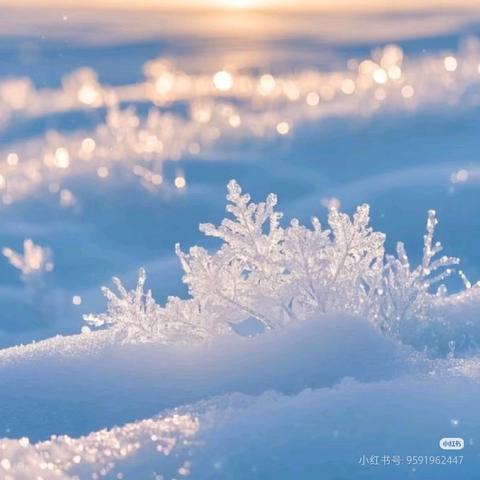 暖冬守护慰人心 ——张家村街道联动巡查救助 保障流浪乞讨人员安全过冬