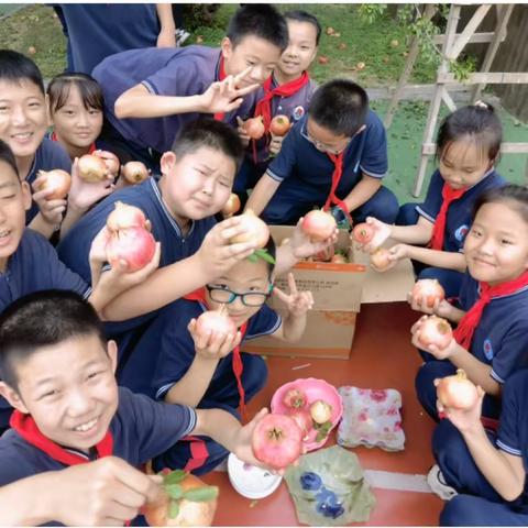 【石家庄市建胜路小学】榴红似火 硕果累累——建胜路小学石榴采摘记实