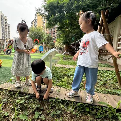 不负秋光，“植”得期待