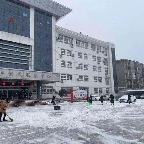 西郊乡：以雪为令、闻雪而动，吹响全民清雪“集结号”