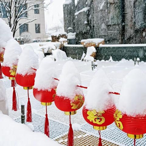 下雪赏景•扫雪温情