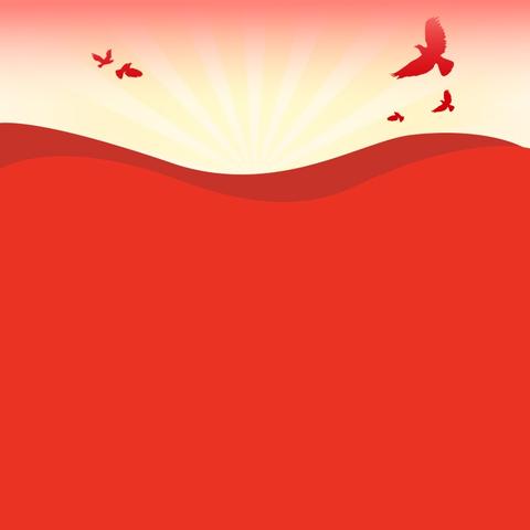 【童心筑梦·红旗飘扬】——记中班宝贝首次升旗仪式的高光时刻