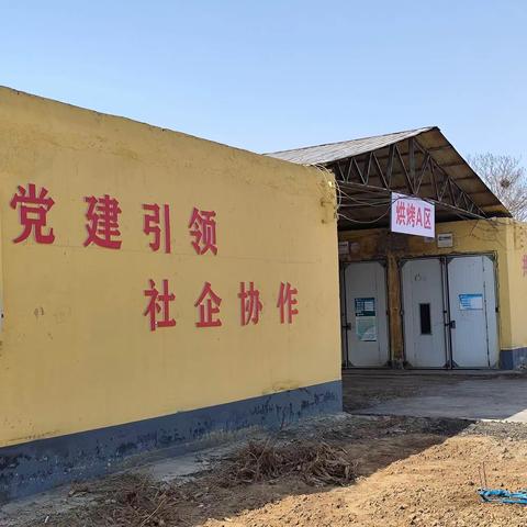 桂村乡各支部开展三月份主题党日活动