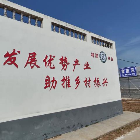 桂村乡各支部开展4月份主题党日活动
