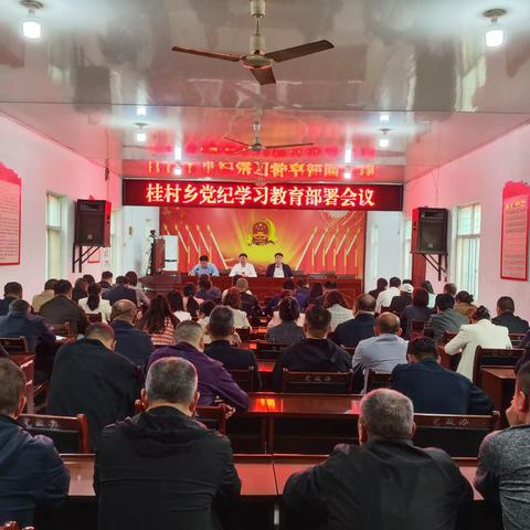 桂村乡各支部开展5月份主题党日活动