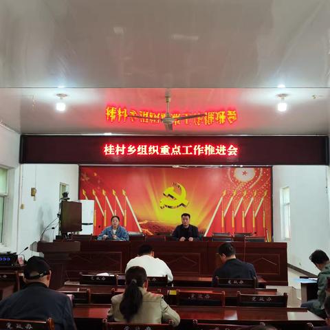 桂村乡各支部积极开展10月份主题党日活动