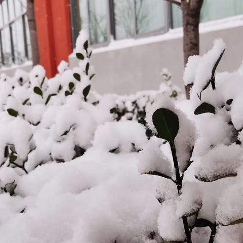 “瑞雪满校园，扫雪暖意浓”—莱州市南十里中学师生扫雪记